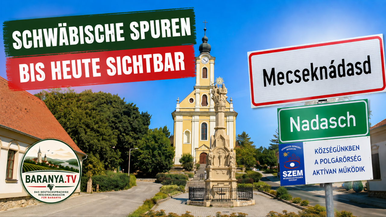 Mecseknádasd entdecken – ein besonderes Dorf in der Baranya